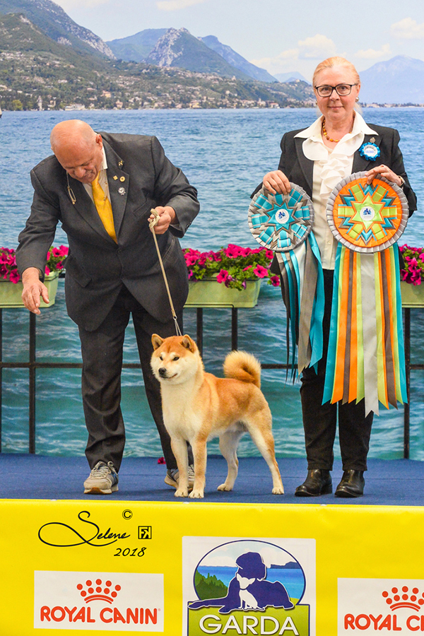 Haruhiko Go Del Biagio