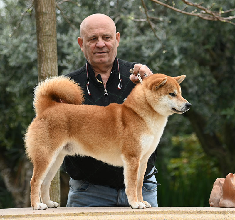 Hiroshi Go Del Biagio