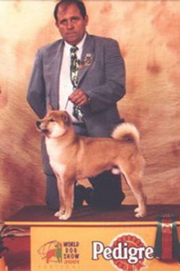 Jinriki Go Imabari Miyakosow Go Del Biagio