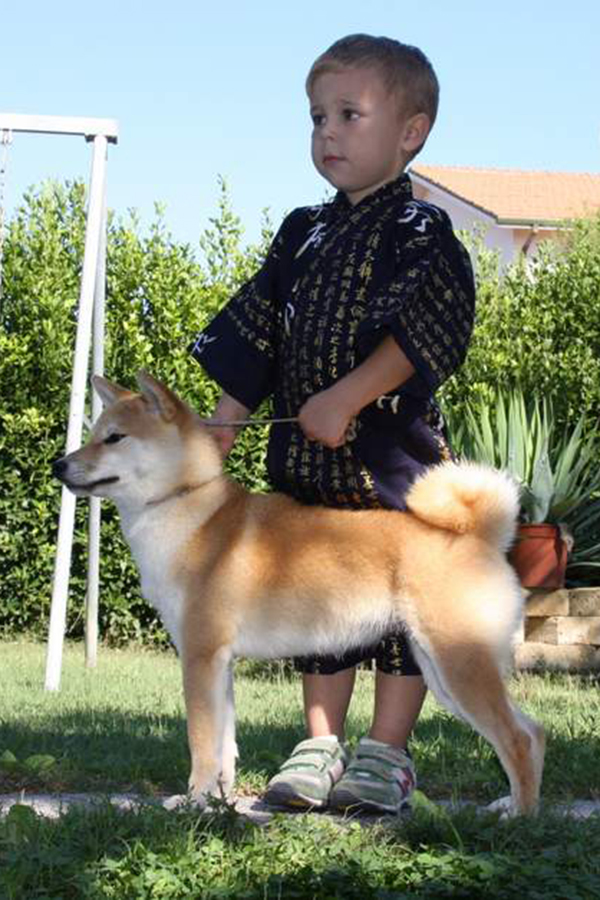 Mara Shima's Aka Natsukashii