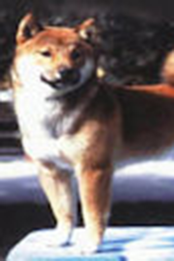 Natsuryuu Go Yoshino Momijisow