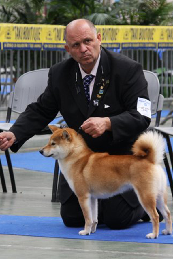 Tessaiga Go Del Biagio